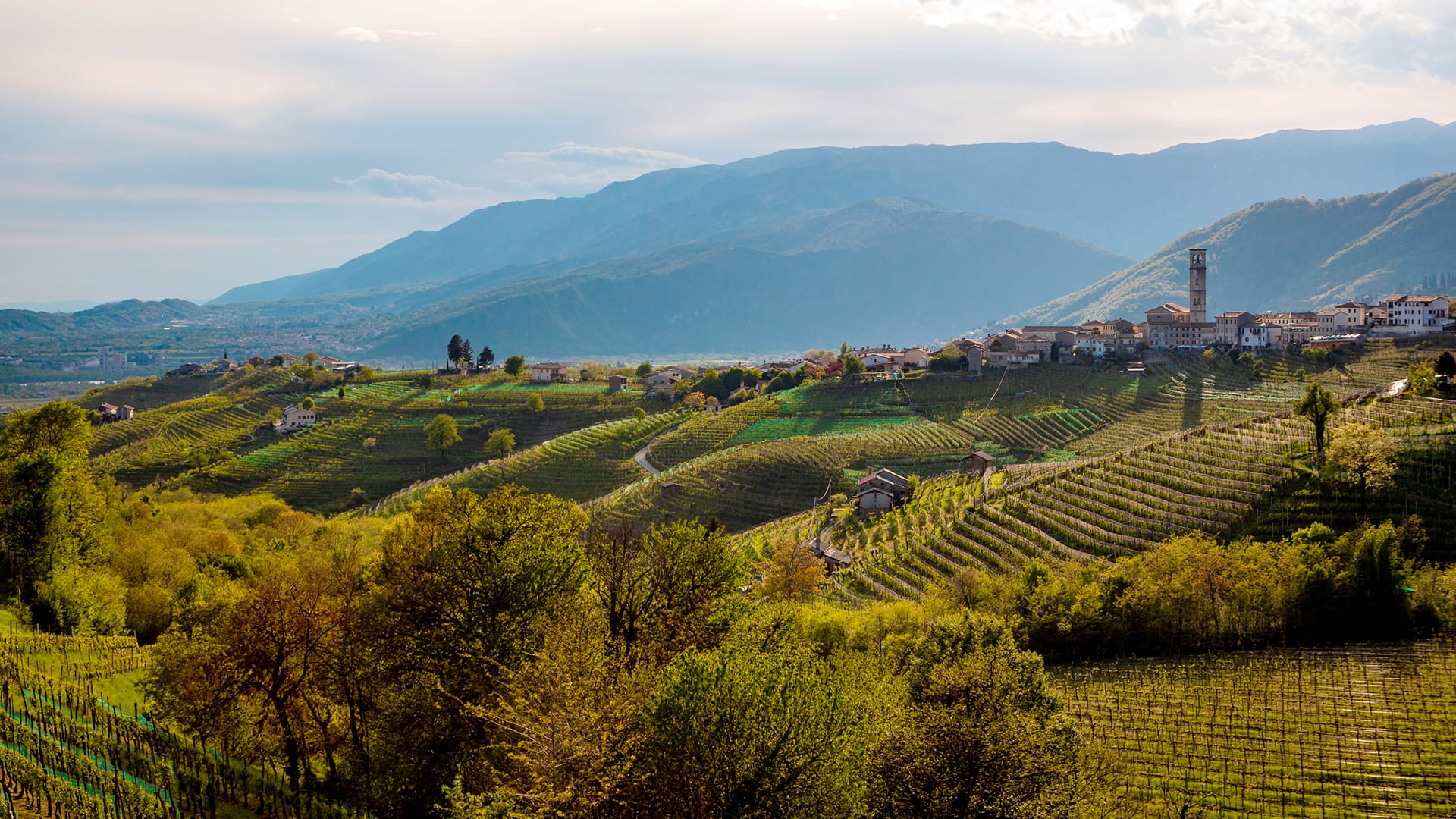 Rive di San Pietro di Barbozza