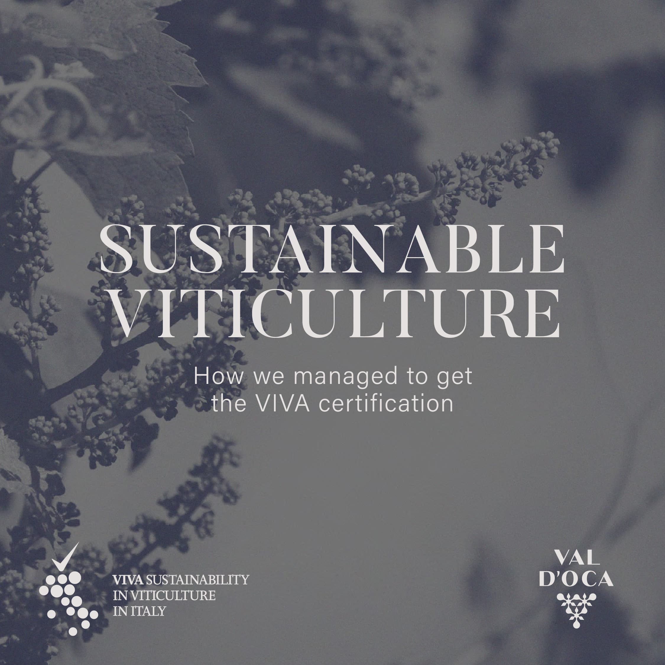 Val d'Oca: Commitment to Sustainable VIVA Certified Agricultural Practices