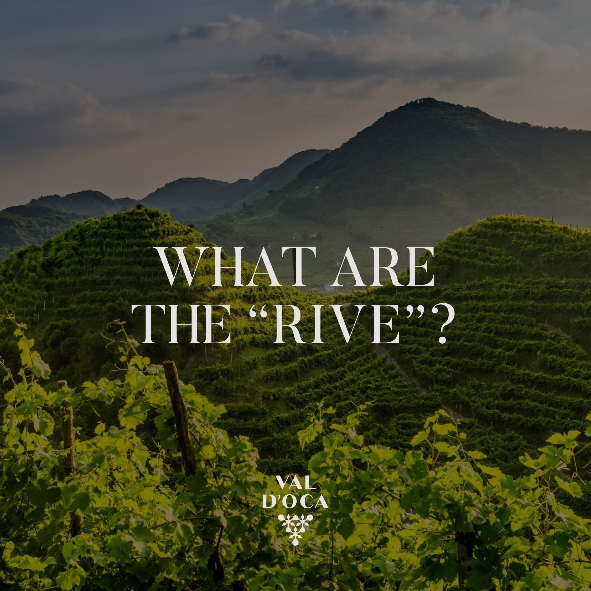 Val d'Oca: The Art of Prosecco in the Heart of DOCG
