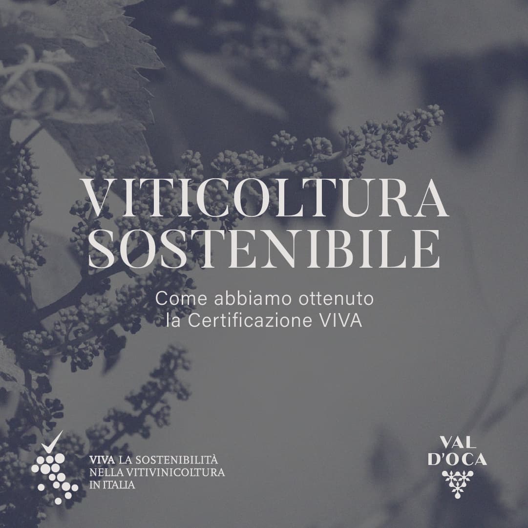 Val d'Oca: Impegno e Sostenibilità nelle Pratiche Agricole Certificate VIVA